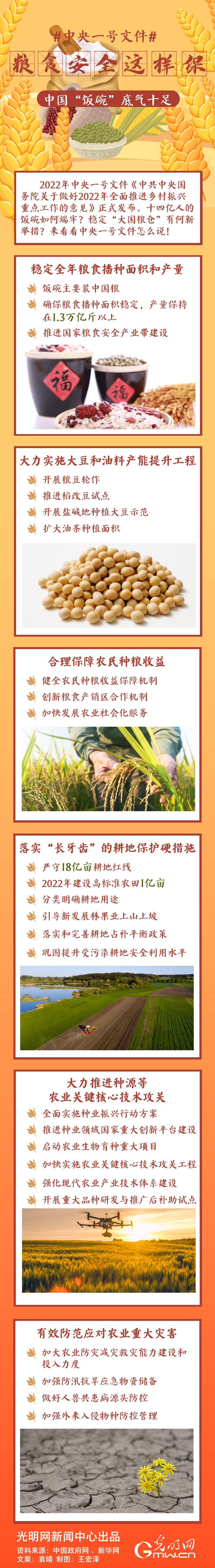 中央一號(hào)文件｜糧食安全這樣保，中國“飯碗”底氣十足