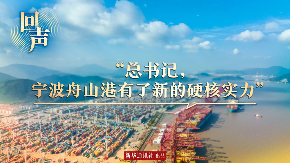 回聲｜“總書記，寧波舟山港有了新的硬核實(shí)力”
