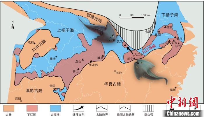 華南地區(qū)志留紀早期古地理圖和盔甲魚類化石產(chǎn)地(山顯任改自陳旭、戎嘉余，1996；戎嘉余等，2012) 中科院古脊椎所 供圖