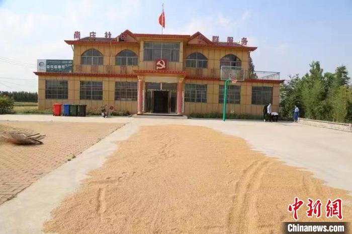 農(nóng)民在邳莊鎮(zhèn)尚莊村黨群服務(wù)中心大院里曬糧?！≠Z萌 攝