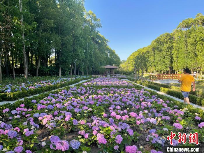 納民意、匯民智上海努力讓“公園城市”建設真正“合民心”