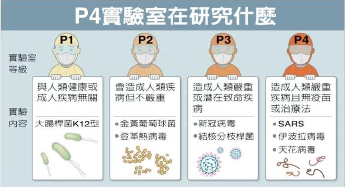 P4實驗室在研究什么。臺灣聯(lián)合新聞網(wǎng)資料圖