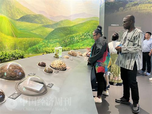   （在中國藥都中醫(yī)藥博物館，外媒記者了解中醫(yī)藥發(fā)展史。中國經(jīng)濟(jì)周刊記者 郭志強(qiáng) 攝）