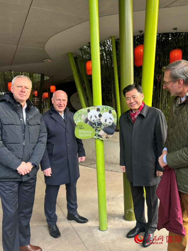 中國駐德國大使吳懇（右二）、柏林市長韋格納（左二）、動物園園長克尼里姆（右一）和監(jiān)事會主席布魯克曼（左一）共同為“夢想”“夢圓”大熊貓紀念牌揭幕。人民網(wǎng)記者 徐馨攝