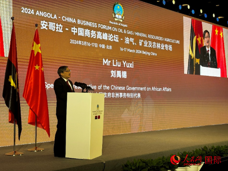 中國(guó)政府非洲事務(wù)特別代表劉禹錫。人民網(wǎng)記者 張榮攝