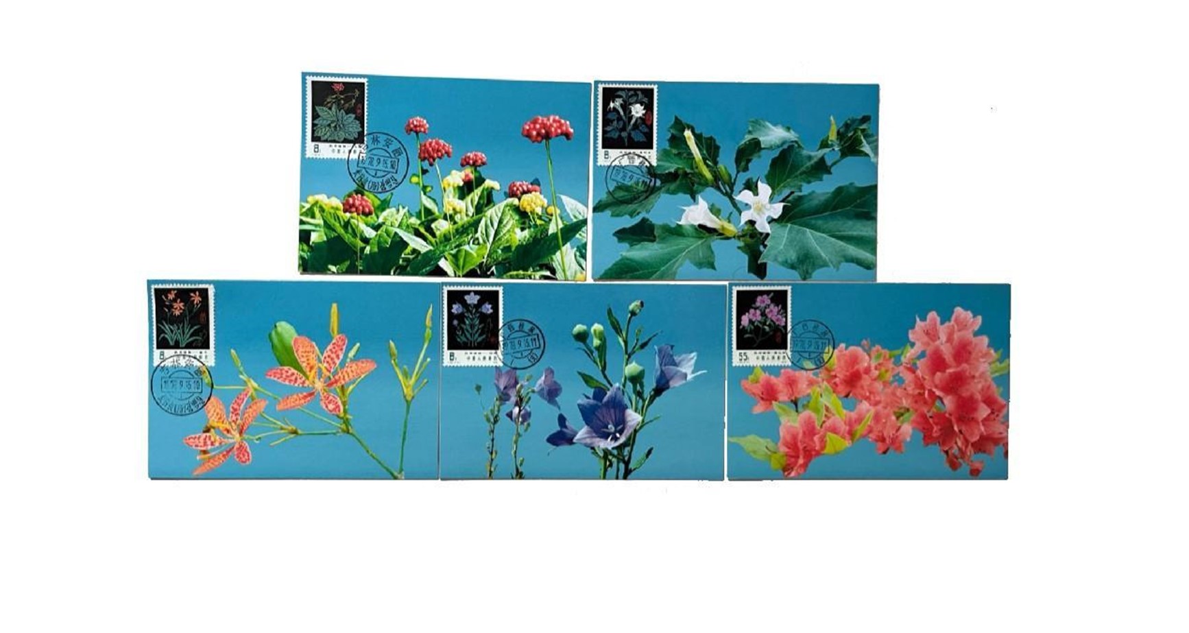 首套藥用植物極限片。第七屆阿聯(lián)酋集郵展主辦方供圖