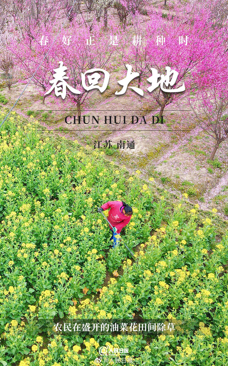 生機(jī)盎然！用課本封面打開春耕畫卷