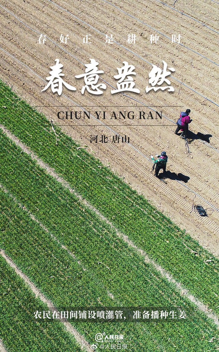 生機(jī)盎然！用課本封面打開春耕畫卷