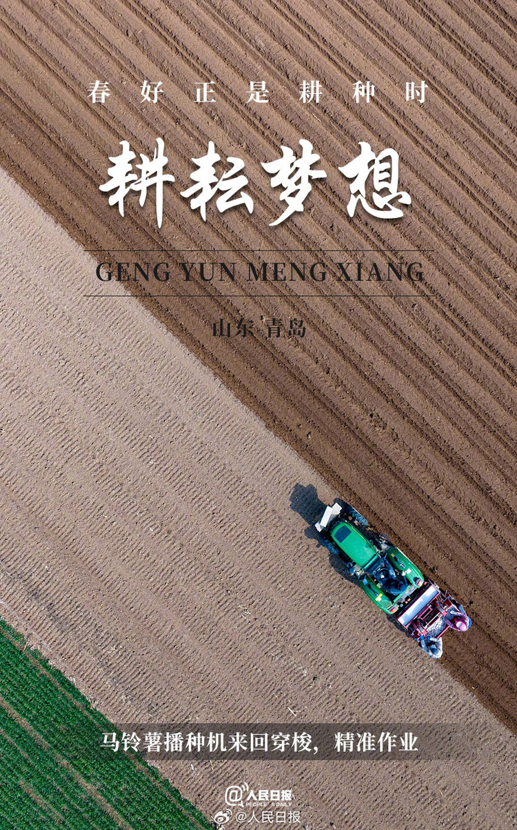 生機(jī)盎然！用課本封面打開春耕畫卷