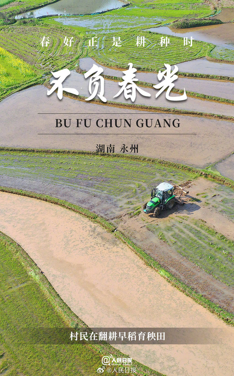 生機(jī)盎然！用課本封面打開春耕畫卷