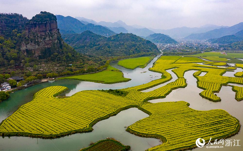 3月28日，航拍浙江省臨海市桃渚鎮(zhèn)桃江十三渚盛開的油菜花景色。人民網(wǎng) 章勇濤攝