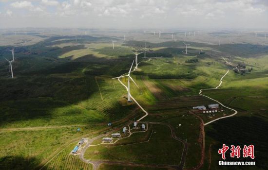 6月28日，河北張家口張北草原上大片風力發(fā)電的“風車”規(guī)模宏大。 中新社記者 楊艷敏 攝