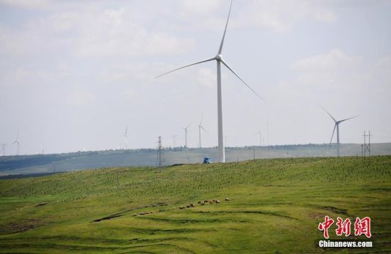 6月28日，河北張家口張北草原上大片風力發(fā)電的“風車”規(guī)模宏大。 中新社記者 楊艷敏 攝