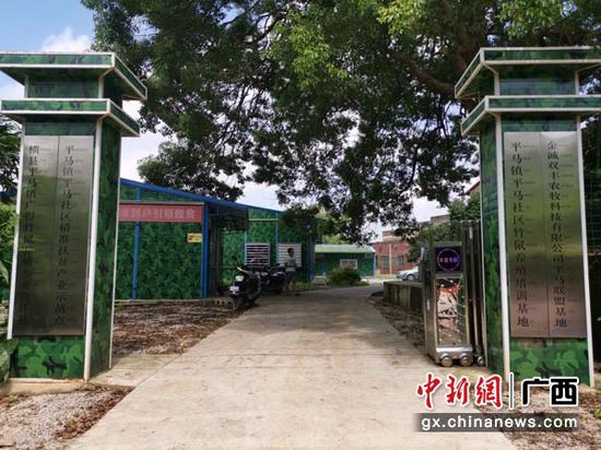 圖為平馬社區(qū)竹鼠養(yǎng)殖基地。