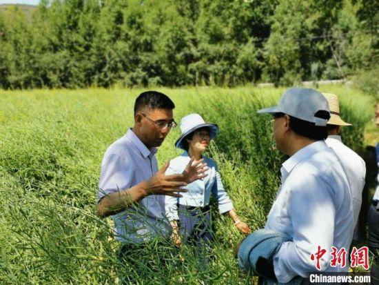 圖為九三學(xué)社青海省委主委杜德志(左一)在基層調(diào)研。受訪者供圖