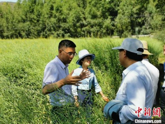 圖為九三學(xué)社青海省委主委杜德志(左一)在基層調(diào)研。受訪者供圖