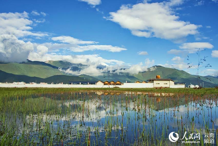 納帕海濕地風(fēng)景。呂昊辰攝