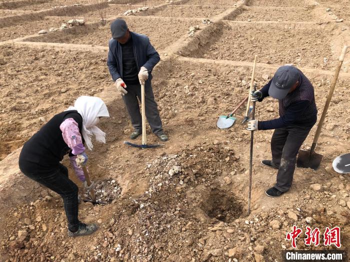 資料圖為建行青海省分行綠化區(qū)施工隊(duì)隊(duì)員處理亂石。　建行青海省分行供圖