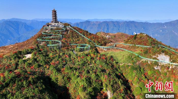 巴山大峽谷彩林迎來(lái)最佳觀賞期。　姚盛 攝