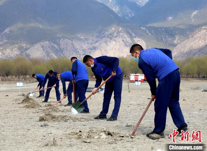 林芝市巴宜區(qū)森林消防中隊志愿服務隊正在揮鍬鏟土。　西繞拉翁 攝