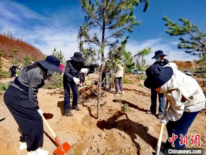 圖為西寧市城東區(qū)干部職工參加義務(wù)植樹?！?zhí)砀?攝