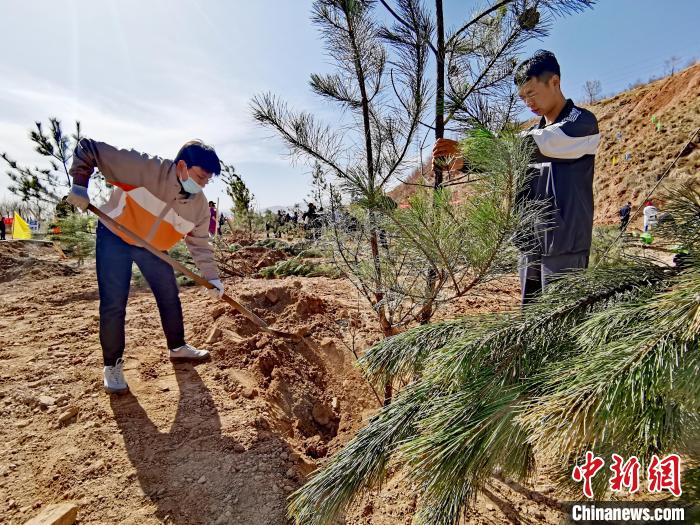 圖為西寧市城東區(qū)義務(wù)植樹活動現(xiàn)場?！?zhí)砀?攝