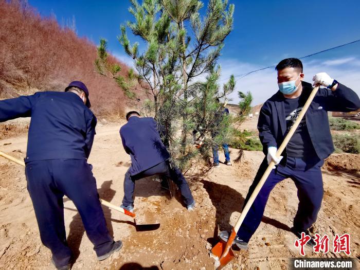 圖為西寧市城東區(qū)義務(wù)植樹活動現(xiàn)場?！?zhí)砀?攝
