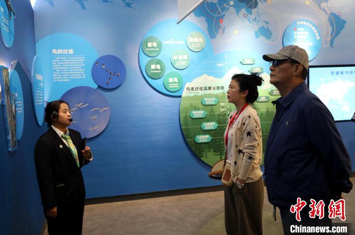 圖為臺商在祁連山國家公園生態(tài)科普館內聆聽講解?！⊙Φ?攝
