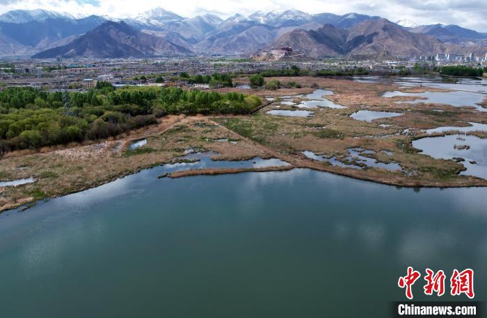 圖為拉薩拉魯濕地。(無人機(jī)照片) 李林 攝