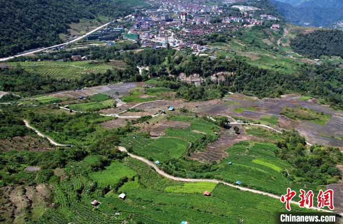 圖為西藏林芝市墨脫縣城附近的茶田。(無(wú)人機(jī)照片) 李林 攝