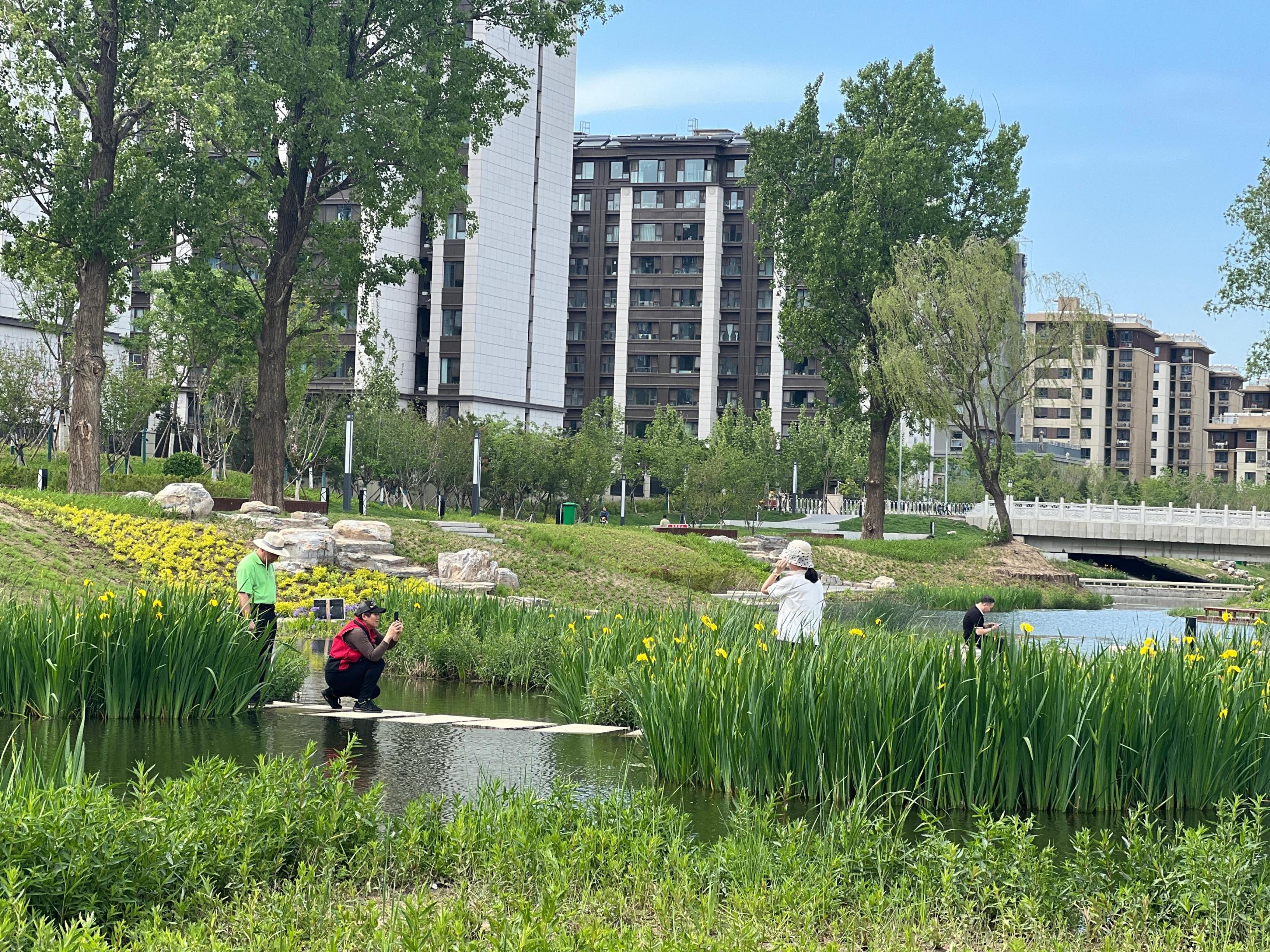 五一渠生態(tài)濱河公園內(nèi)，市民正在拍照留念。人民網(wǎng) 歐陽易佳攝