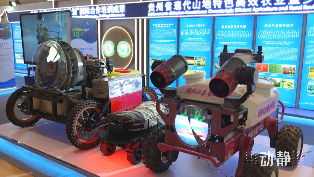 展示成果分享經(jīng)驗(yàn)，中國—東盟教育交流周深化合作共創(chuàng)未來！
