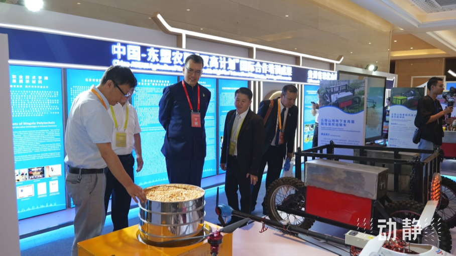 展示成果分享經(jīng)驗(yàn)，中國—東盟教育交流周深化合作共創(chuàng)未來！