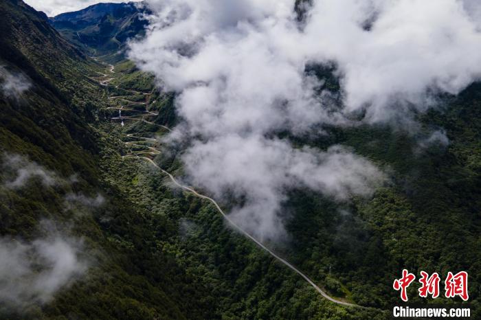 西藏山南勒布溝景區(qū)的盤山公路被云霧環(huán)繞?！〗w波 攝