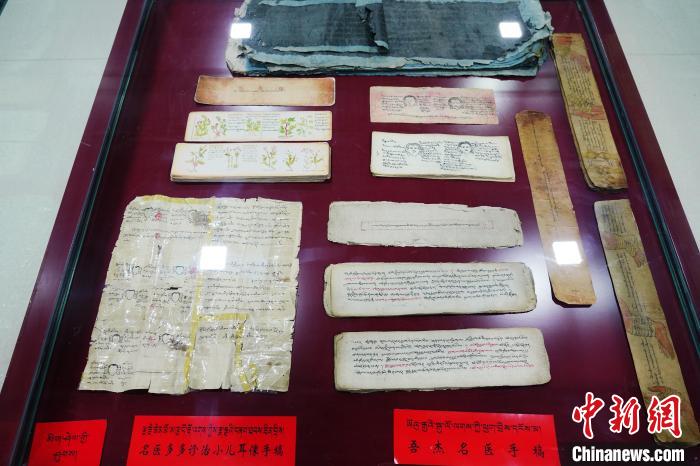 圖為藏醫(yī)古集文獻(xiàn)和藏醫(yī)臨床原始手稿。　馬銘言 攝