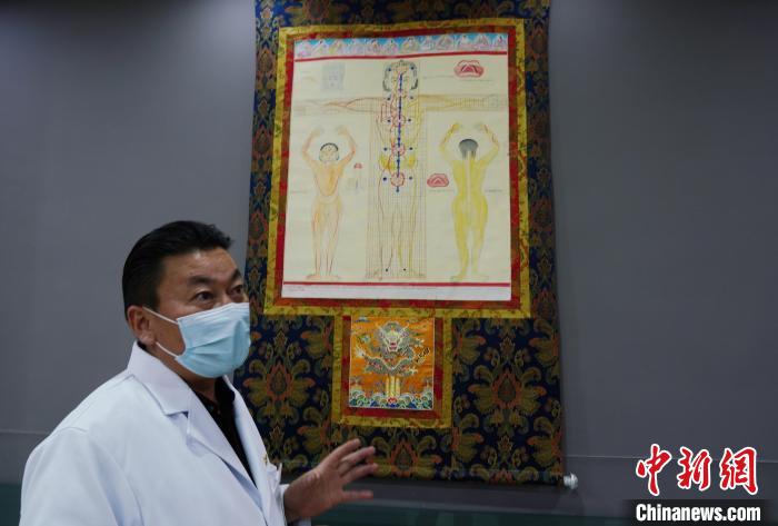 圖為興?？h藏醫(yī)院院長介紹藏醫(yī)四部醫(yī)典詳實圖?！●R銘言 攝