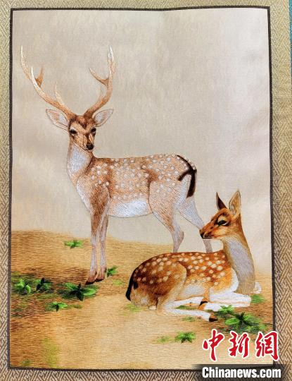 圖為藏繡作品?！∑钤鲚?攝