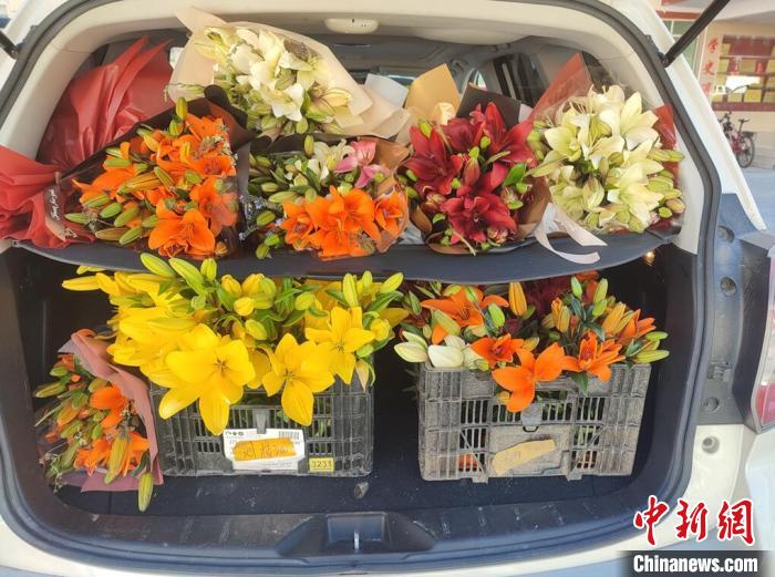 剛剛采摘下來的百合花?！∪捞量h委宣傳部供圖