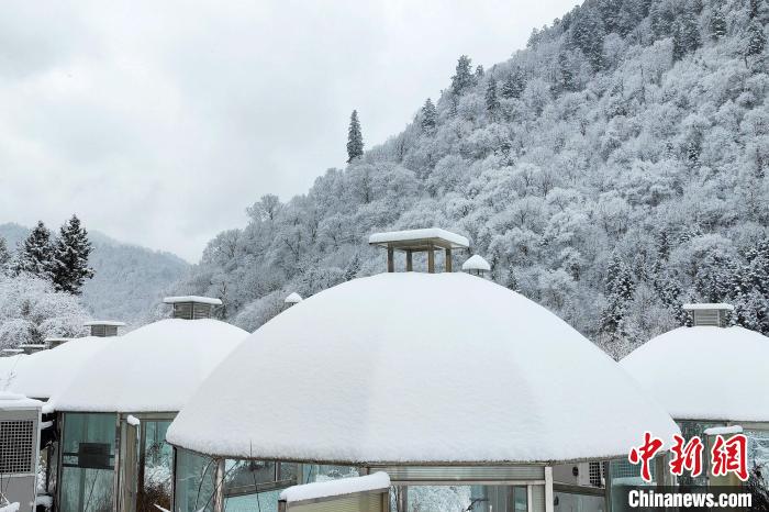 大熊貓國(guó)家公園王朗片區(qū)春雪如畫，宛若仙境?！×_春平 攝