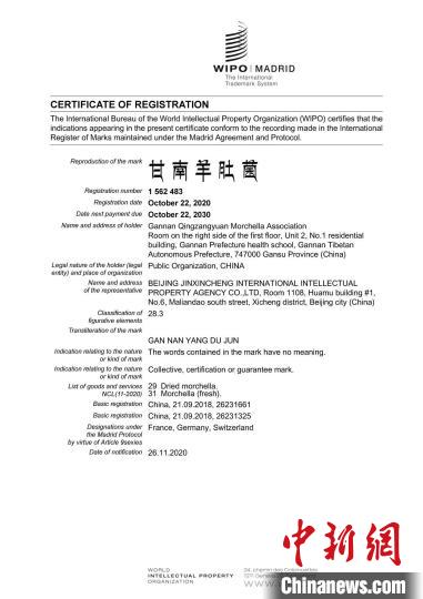 圖為“甘南羊肚菌”國際商標(biāo)注冊證書。(資料圖) 甘南州市場監(jiān)管局供圖