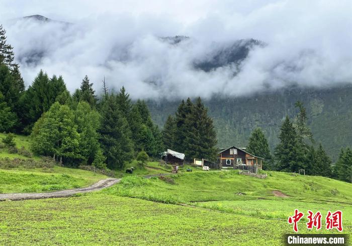 6月10日，魯朗小鎮(zhèn)高山牧場景區(qū)風(fēng)光。　冉文娟 攝