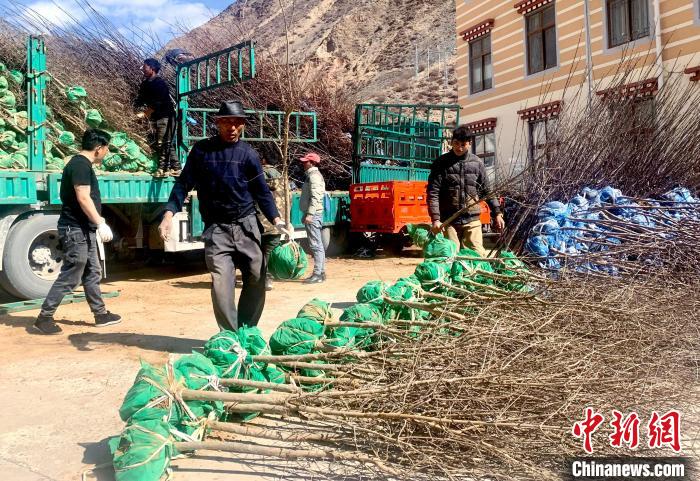 民眾搬運苗木?！〔际忻⒖悼h委宣傳部供圖