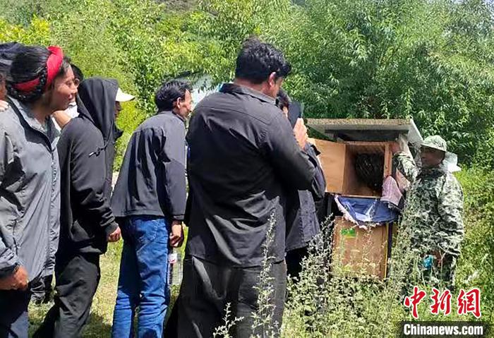 拉久西村村民學(xué)習(xí)養(yǎng)蜂工作流程和防范事項(xiàng)?！〔际忻⒖悼h委宣傳部供圖