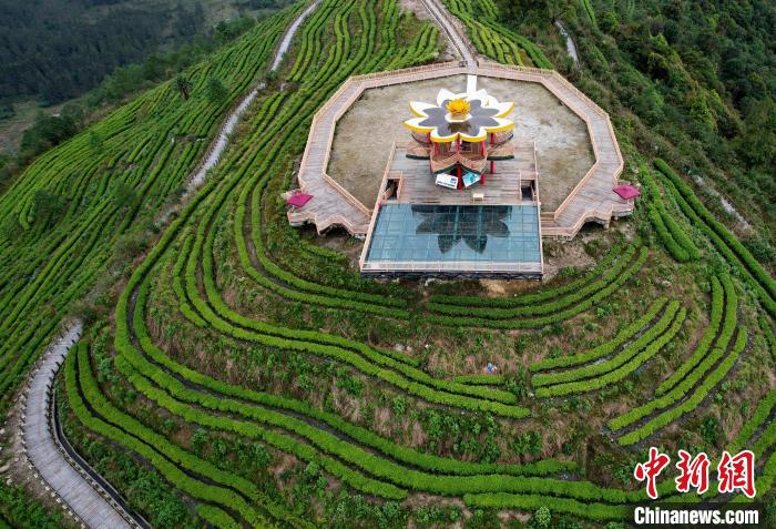 圖為西藏林芝市墨脫縣背崩鄉(xiāng)格林村山頂?shù)木坝^茶園。(無(wú)人機(jī)照片) 李林 攝