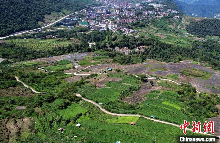 圖為西藏林芝市墨脫縣城附近的茶田。(無(wú)人機(jī)照片) 李林 攝