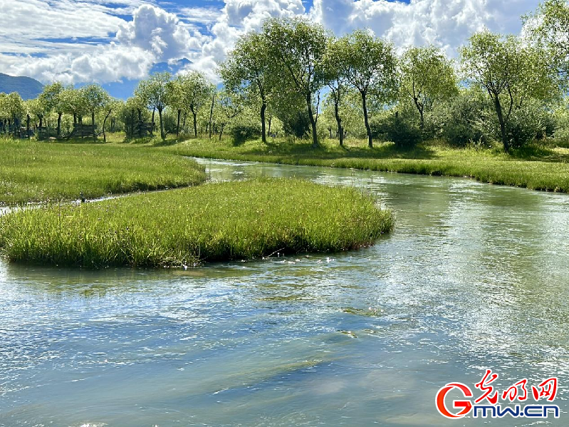 我們的家園丨【組圖】 綠水青山入畫，“金山銀山”筑起