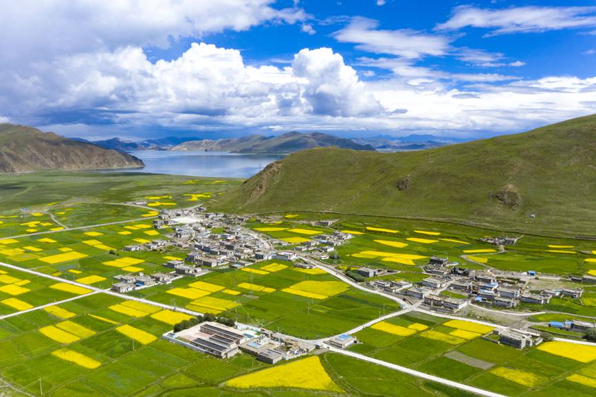 航拍道布龍村，依山傍水，阡陌縱橫。