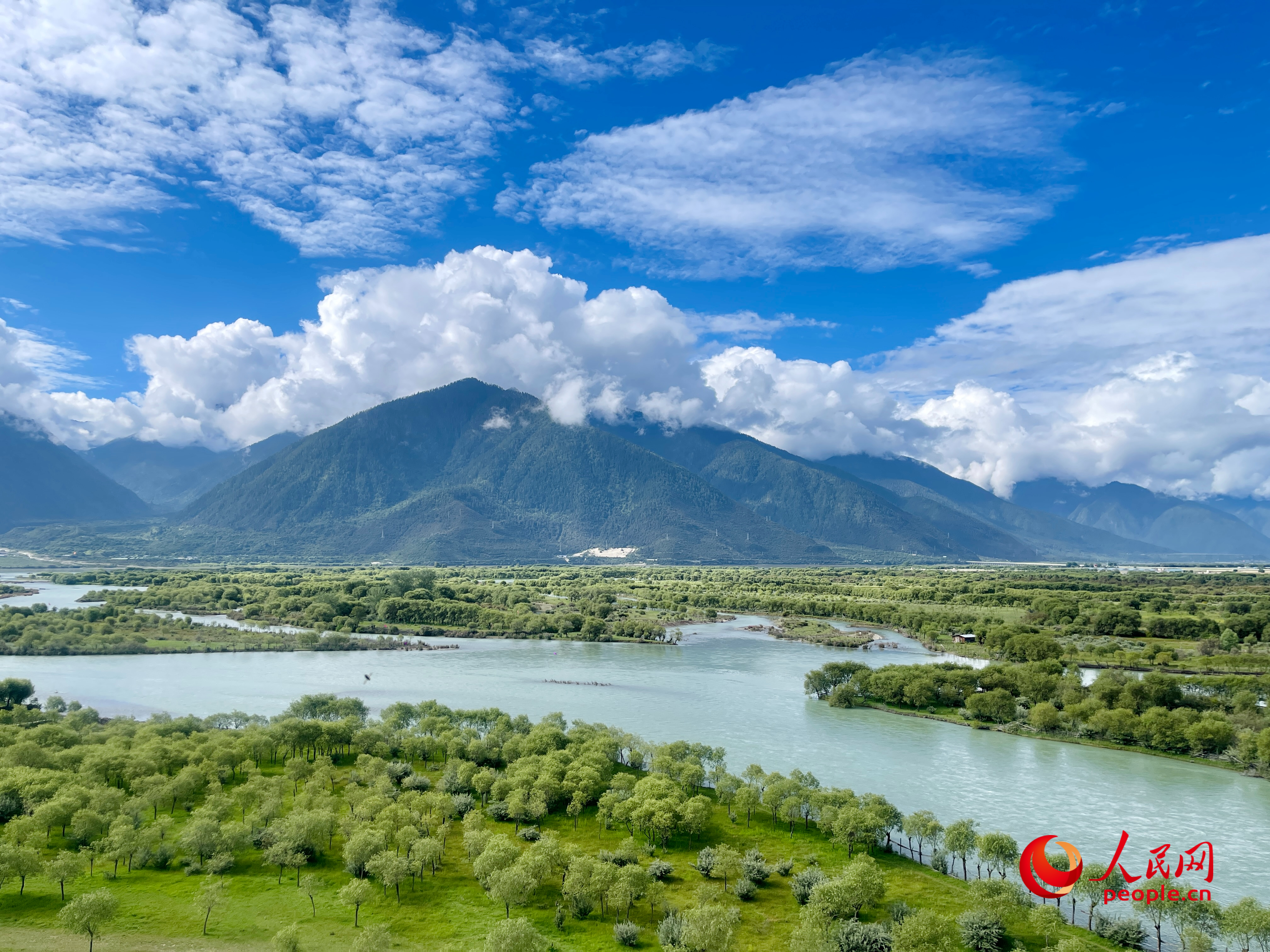夏日的雅尼國(guó)家濕地公園生機(jī)盎然，如詩(shī)如畫(huà)。人民網(wǎng) 周靜圓攝