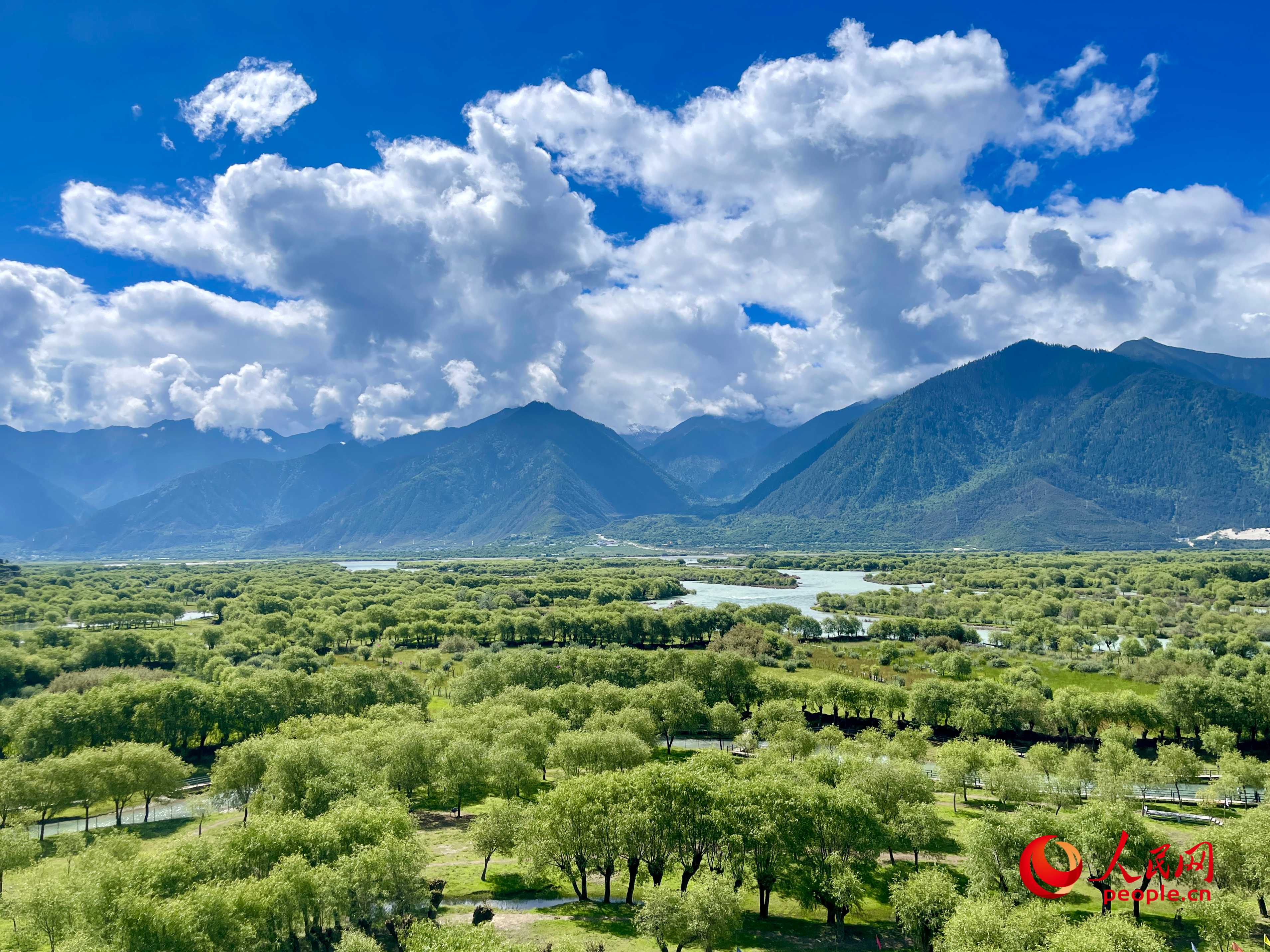 夏日的雅尼國(guó)家濕地公園生機(jī)盎然，如詩(shī)如畫(huà)。人民網(wǎng) 周靜圓攝