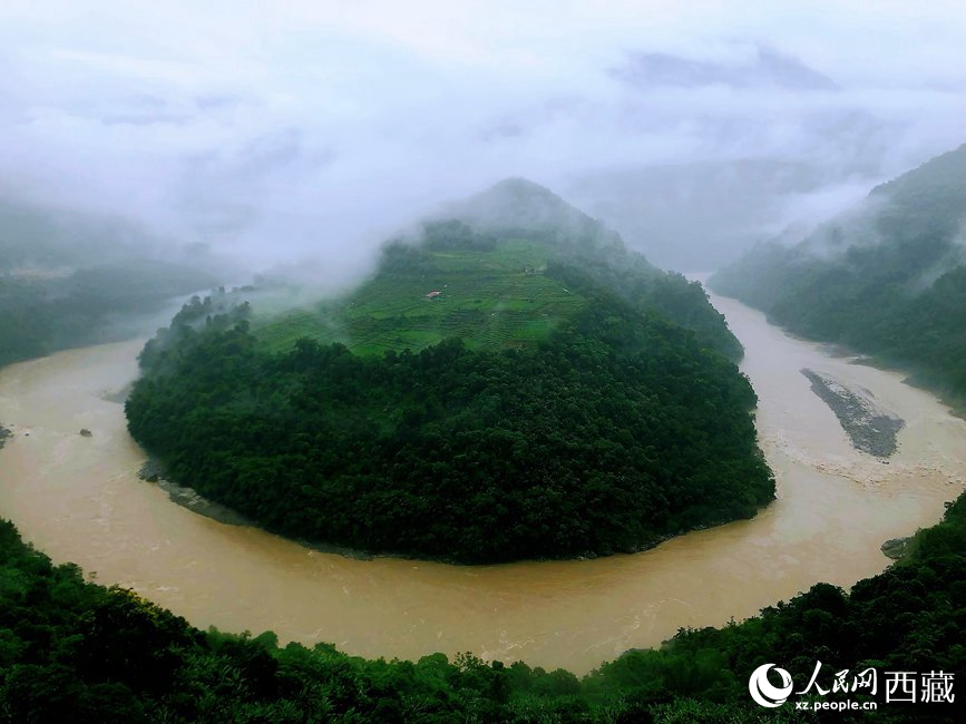 雅魯藏布江大峽谷蛇形拐彎處，山坡上種滿茶樹。